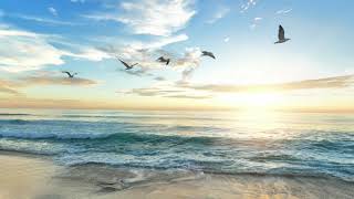 Ancrage et respiration en pleine conscience