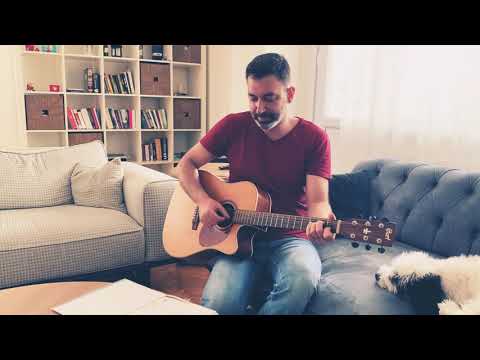 Alışamadım - Haluk Levent Cover