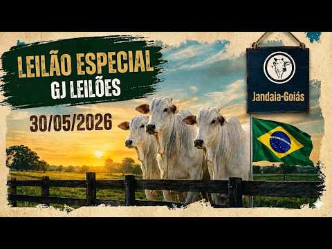 GJ LEILÕES - LEILÃO ESPECIAL  30/05/2026 - JANDAIA GOIAS