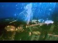 DIRTY BEACHES- TRUE BLUE 
