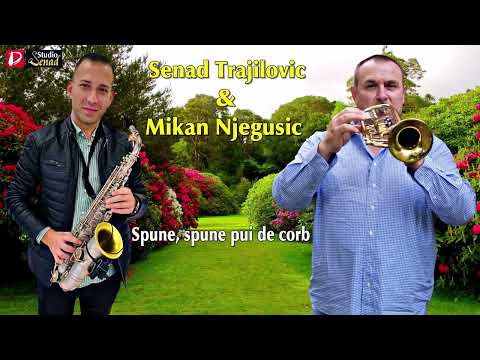 Senad Trajilovic & Mikan Njegusic || Spune, spune pui de corb