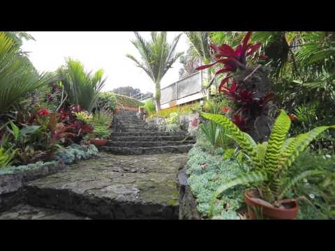 31 Peary Road, Mount Eden