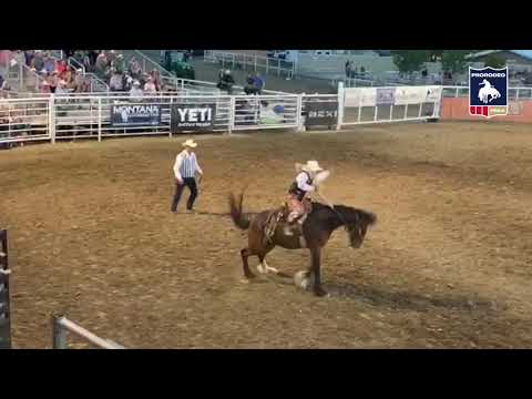 Brody Cress | 91.5 points | Brookman Rodeo's Kid Rock
