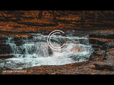 Morpei & Manu Gonzalez - Drfiteando (Original Mix)