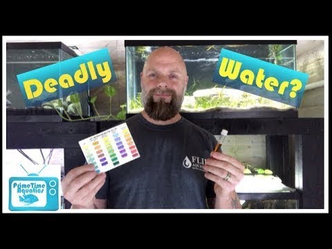 The Silent Killer - Nitrates in Your Fish Tank | What to Do About Them!