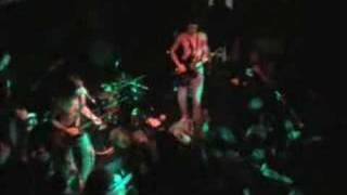 begging  - the libertines