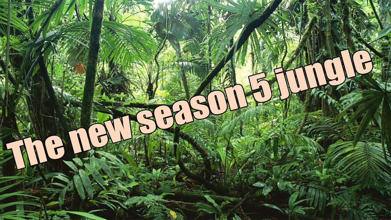 Liên Minh Huyền Thoại: Cảm giác của bạn khi đi rừng mùa 5 =))