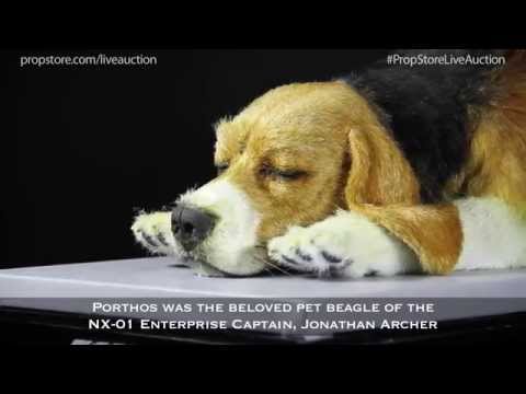 Lot 359 Star Trek: Enterprise (TV 2001-2005) - Jonathan Archer's (Scott Bakula) Porthos Puppet