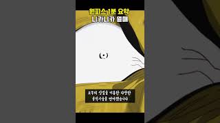 태양의 신 "니카니카" 열매 [원피스 1분요약]