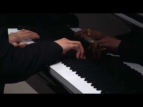 Schumann: Davidsbündlertänze op.  6 | Bechstein Young Professionals Vincent Ong