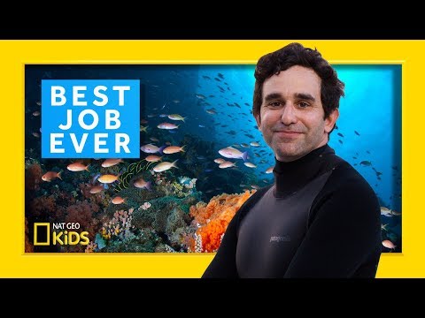 Marine Biologist: David Gruber | Best Job Ever