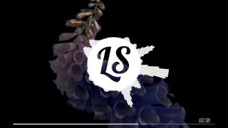 Flume - Hyperreal (feat. Kučka)