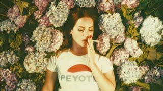 ****** My Way Up to the Top [Clean] - Lana Del Rey