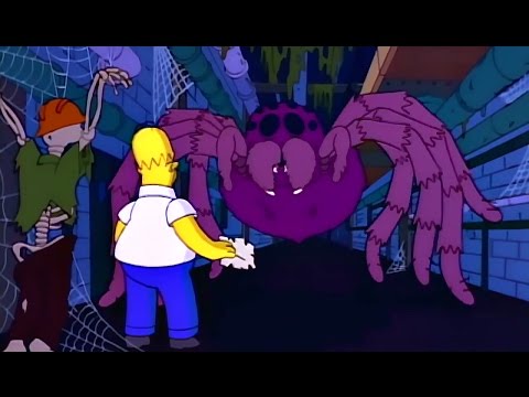 Homer Encounters Giant Spider