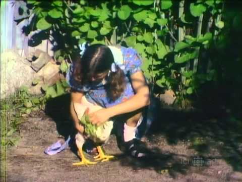 La Petite Patrie Saison 1 Episode 4