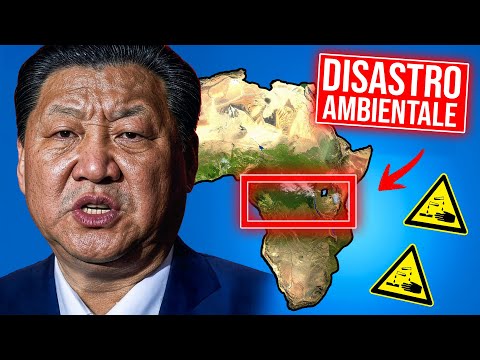 Il DISASTRO AMBIENTALE di cui NESSUNO PARLA: cosa STA SUCCEDENDO?