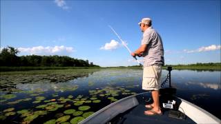 Tips for Fishing Topwater Frogs for Largemouth Bass