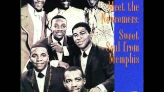 The Newcomers   Too Much Going to Say Goodbye