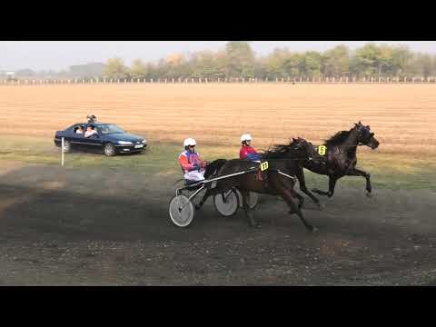 Trka "Anova" 27.10.2019 Elliot - Petar Dulić