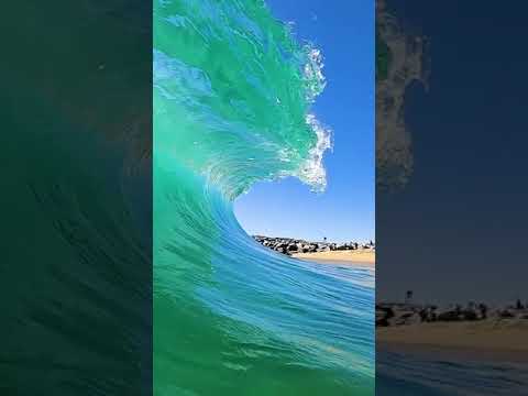 Siapa yang bisa lihat hiu sambil menikmati ombak pantai? 😍🐋 Liburan seru bisa jadi kenyataan!