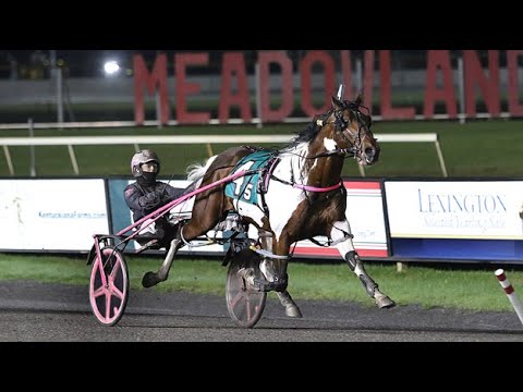 Race 5 1600M Meadowlands NJ April 5, 2025 : Always B Colour IR (1:52:0)