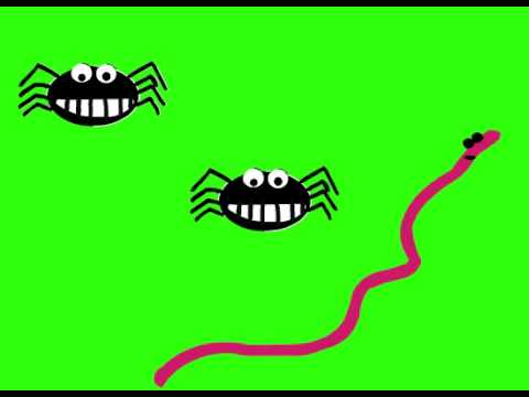 Creepy Crawly Song