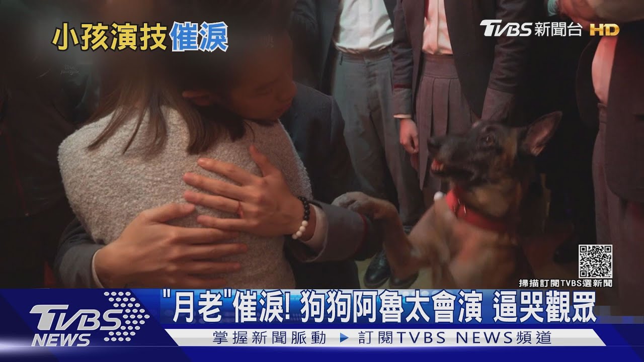 最佳狗狗演員!「月老」阿魯太會演 宋芸樺:是我啟蒙老師