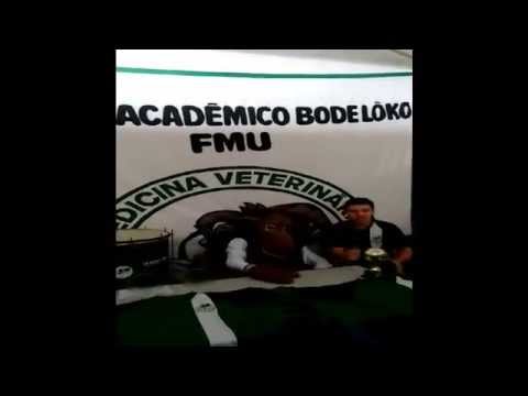 C.A.B.L.IX de Setembro - Bode NEWS!!!