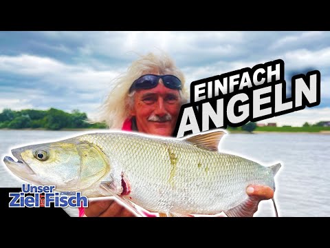 PREDATOR FISH on the TIDAL RIVER: ZANDER & ASPHERE TOUR with JÖRG OVENS - Our goal is fish - Fish...