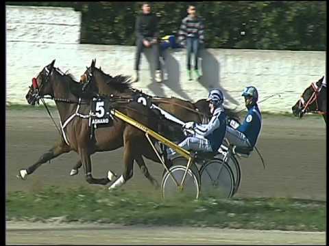 Trotto 13/03/2016 - 3° corsa