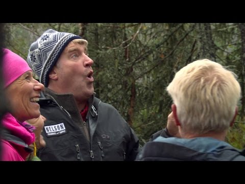 download lagu mp3 mp4 Treehouse Masters In Norway, download lagu Treehouse Masters In Norway gratis, unduh video klip Treehouse Masters In Norway