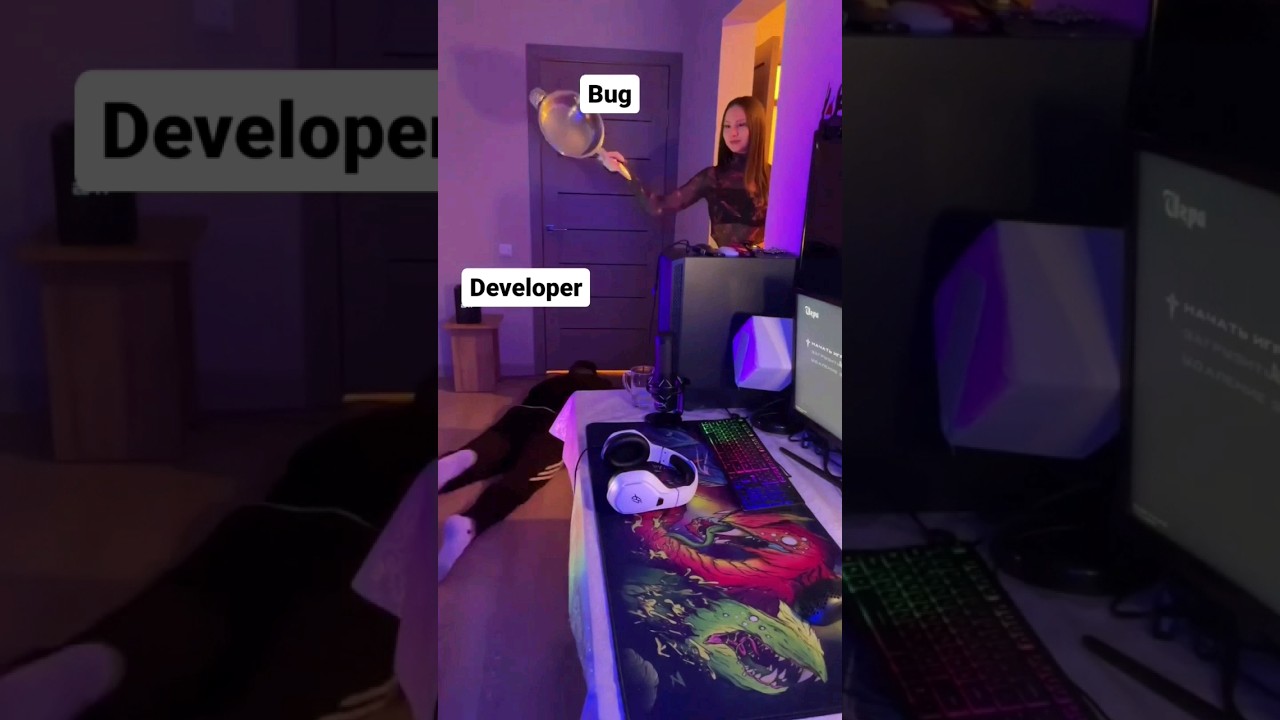 DEVELOPER VS BUG MEME #funny #meme #developer #coding