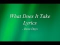 Dave Days - What Does It Take Lyrics 