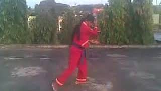 Download lagu jurus rajawali pak budi - Tapak Suci Putera Muhammadiyah lainya mp3