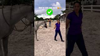 How to train your horse🙏 #youtubeshorts #horse #usa #upsc #horselover #shortvideo #animals #shorts