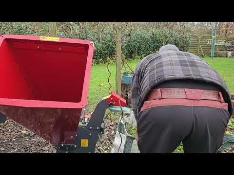 FBC cip6 chipping some branches 