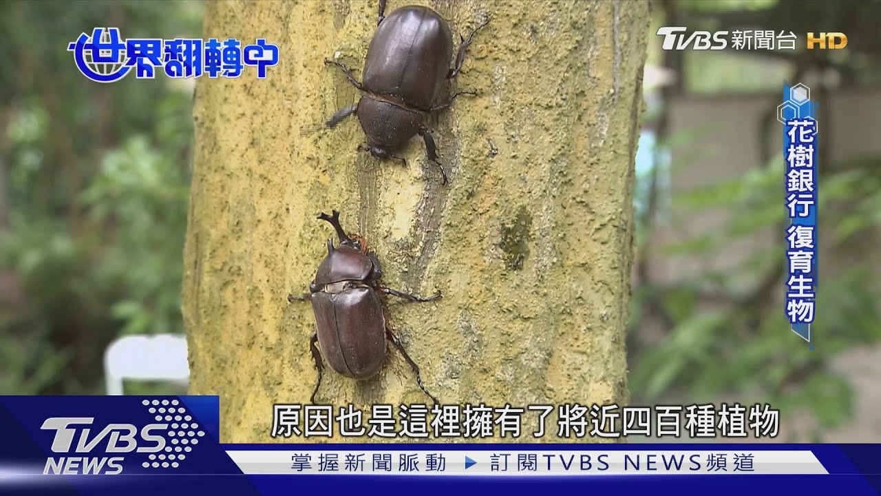 造綠地留後路！　全球過半GDP仰賴生物多樣性