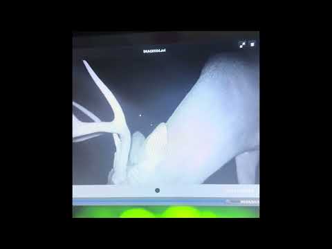 Tasco invader 20MP trail cam