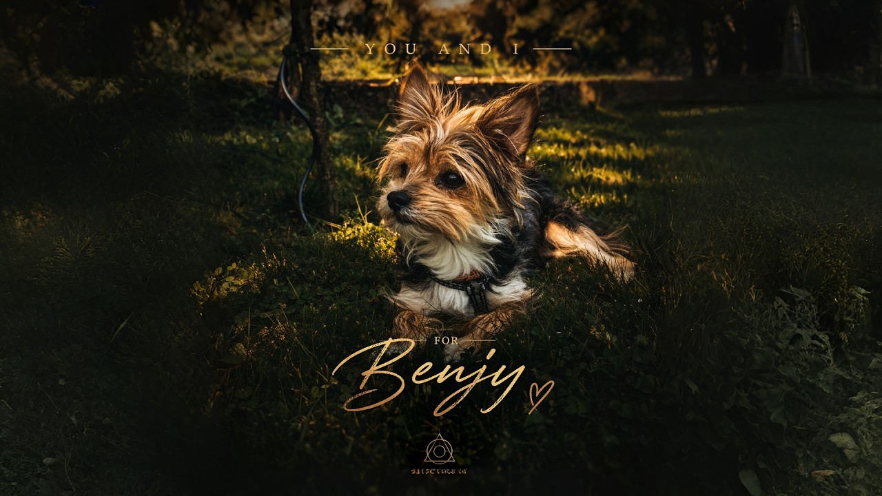 Cover: You and I (For Benjy) — Silentmonk