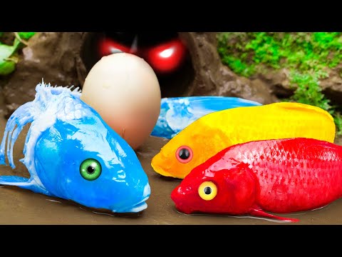 Mud Survival Battle - Skeleton Koi Fish Hunting Eel - Experiment Colorful Rainbow Stop Motion ASMR