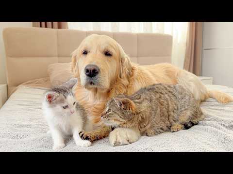 YouTube 썸네일
