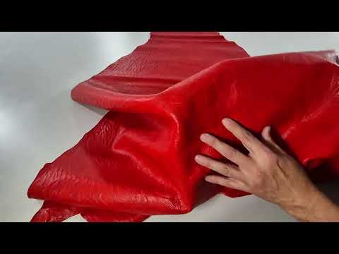 VACUNO ELEFANTE ROJO 5874