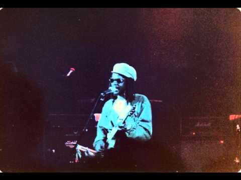 peter tosh – downpresser man (live in toulouse france 1983)