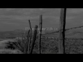 Friend of the Devil | Counting Crows | Lyrics ☾☀