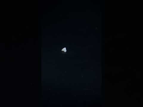 YouTube 썸네일