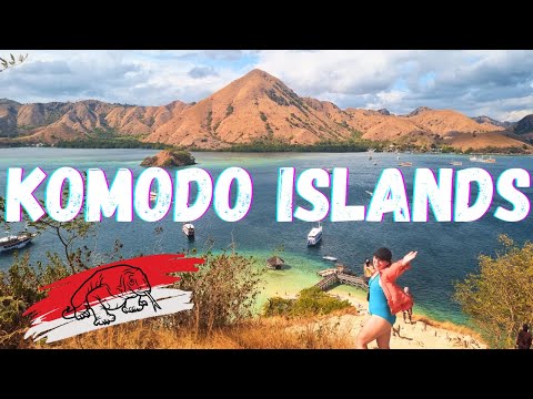 Komodo Islands on a BUDGET!? 4 Days Sailing from Lombok to Flores