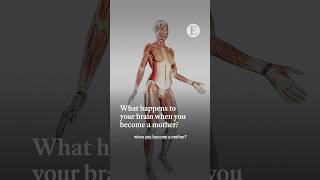 Thumbnail for What happens to your brain when you become a mother? | The Economist
