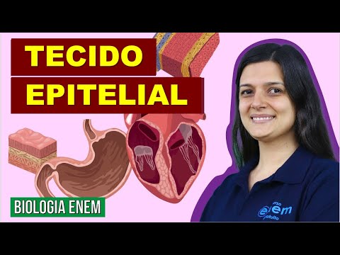 TECIDO EPITELIAL: Resumo de Biologia para o Enem