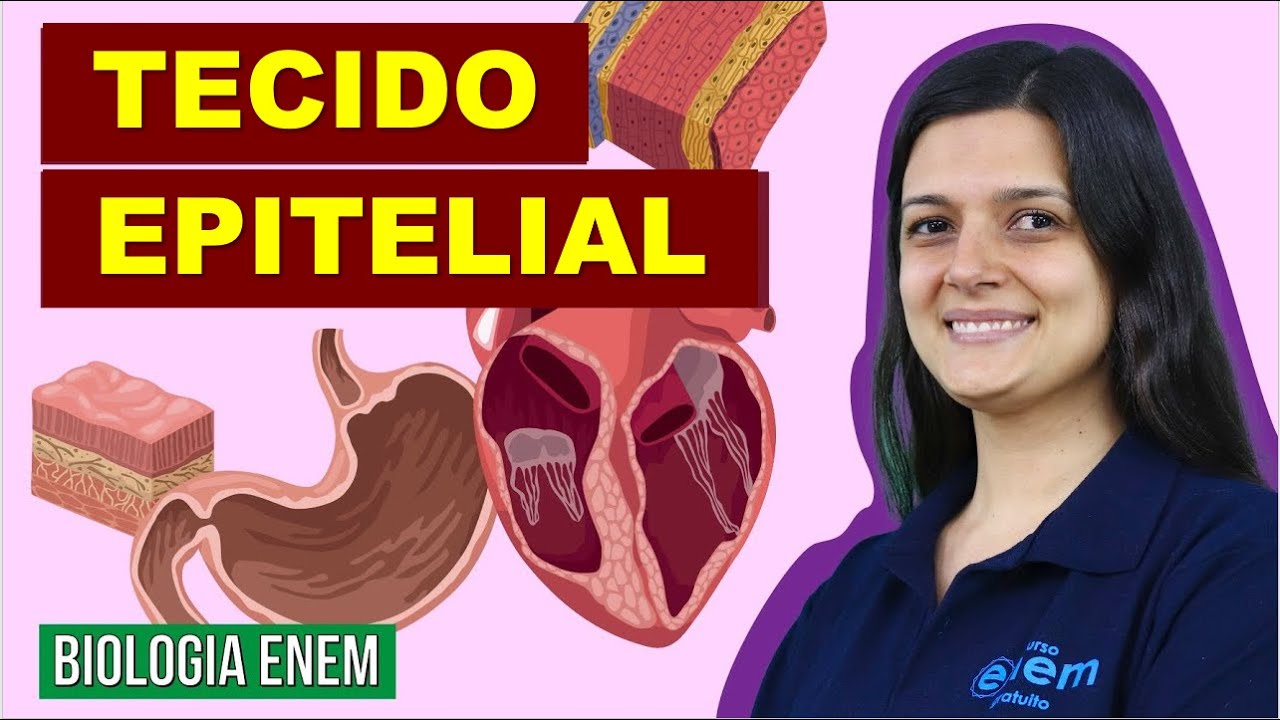 TECIDO EPITELIAL: Resumo de Biologia para o Enem