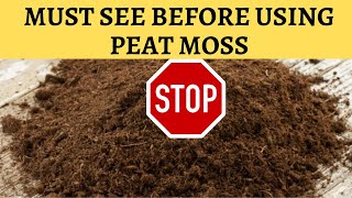 Peat Moss - WHY NOT TO USE in gardening